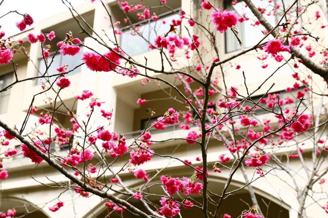 Tai-Yi Red Maple Resort Puli Ngoại thất bức ảnh